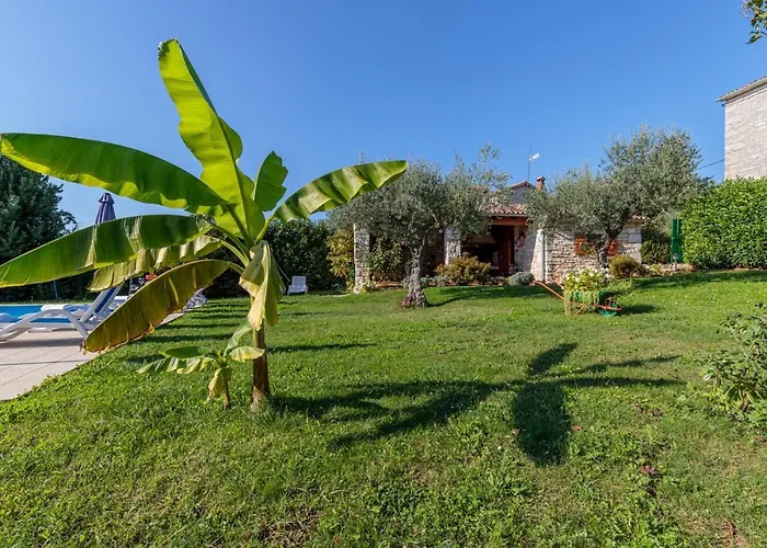 Tamaris With Pool Holiday home *