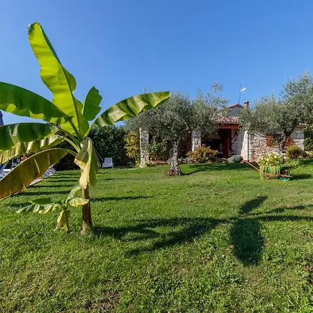 Tamaris With Pool Holiday home *