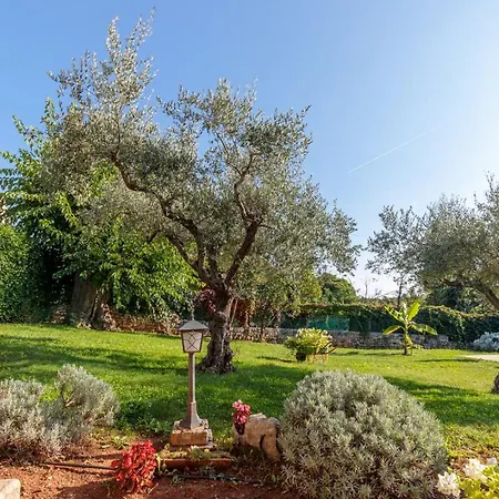 Tamaris With Pool Holiday home *